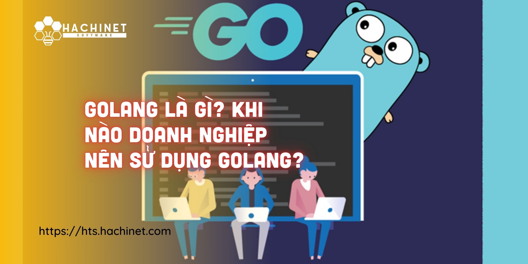Golang là gì? Khi nào doanh nghiệp nên sử dụng Golang?
