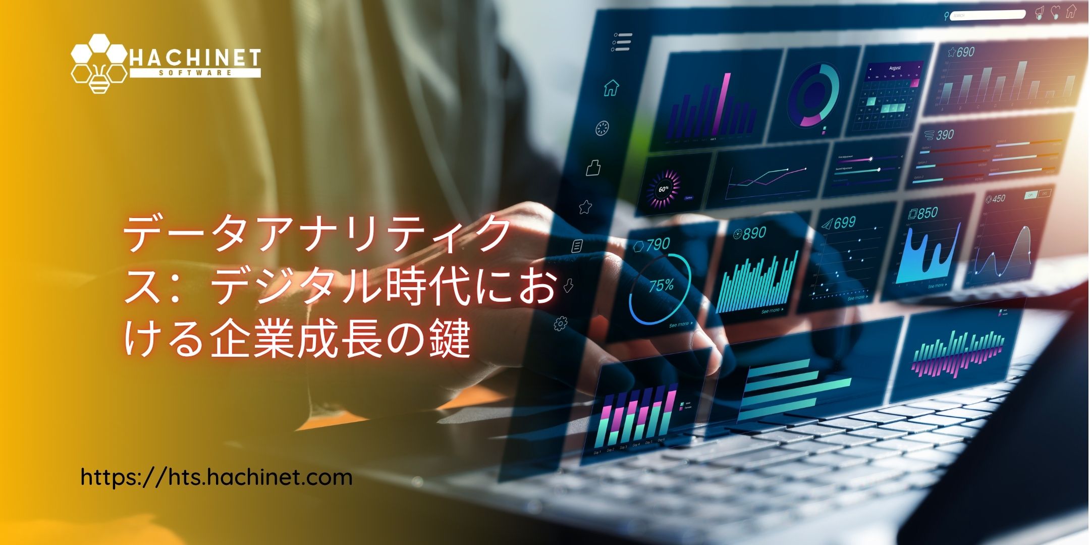 データアナリティクス：デジタル時代における企業成長の鍵