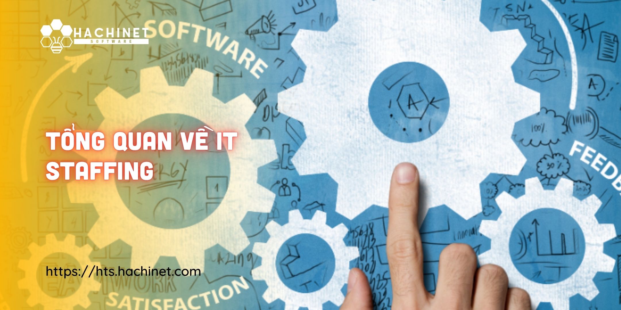 Tổng quan về IT Staffing
