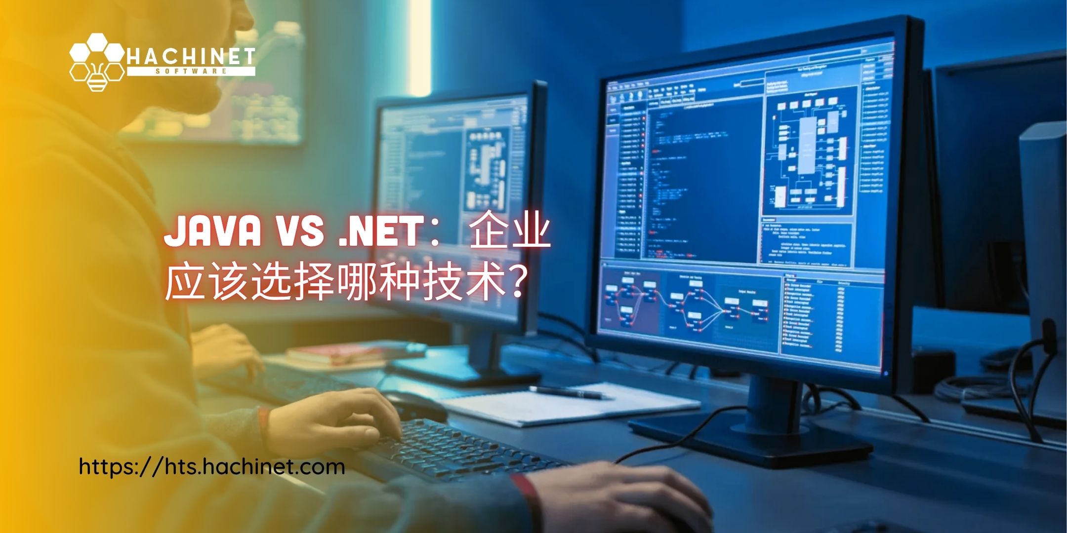 Java vs .NET：企业应该选择哪种技术？